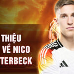 Giới thiệu chung về nico schlotterbeck