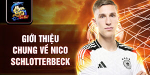 Giới thiệu chung về nico schlotterbeck