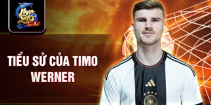 Tiểu sử của timo werner