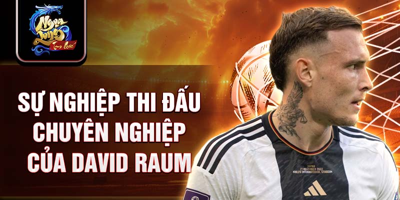 Sự nghiệp thi đấu chuyên nghiệp của David Raum