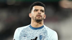 Dominic solanke tại clb tottenham hotspur