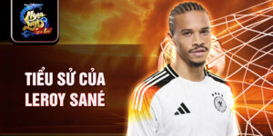 Tiểu sử của leroy sané