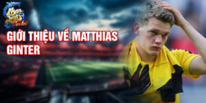 Giới thiệu về matthias ginter