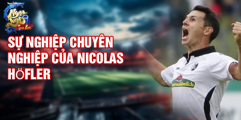 Sự nghiệp chuyên nghiệp của Nicolas Höfler